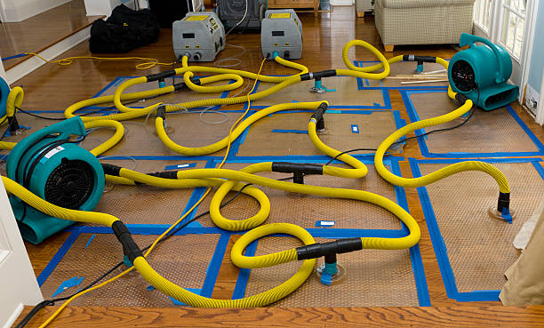 Professional Sewage Cleanup technician working in Rochert, MN